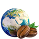 WORLD OF COFFEE